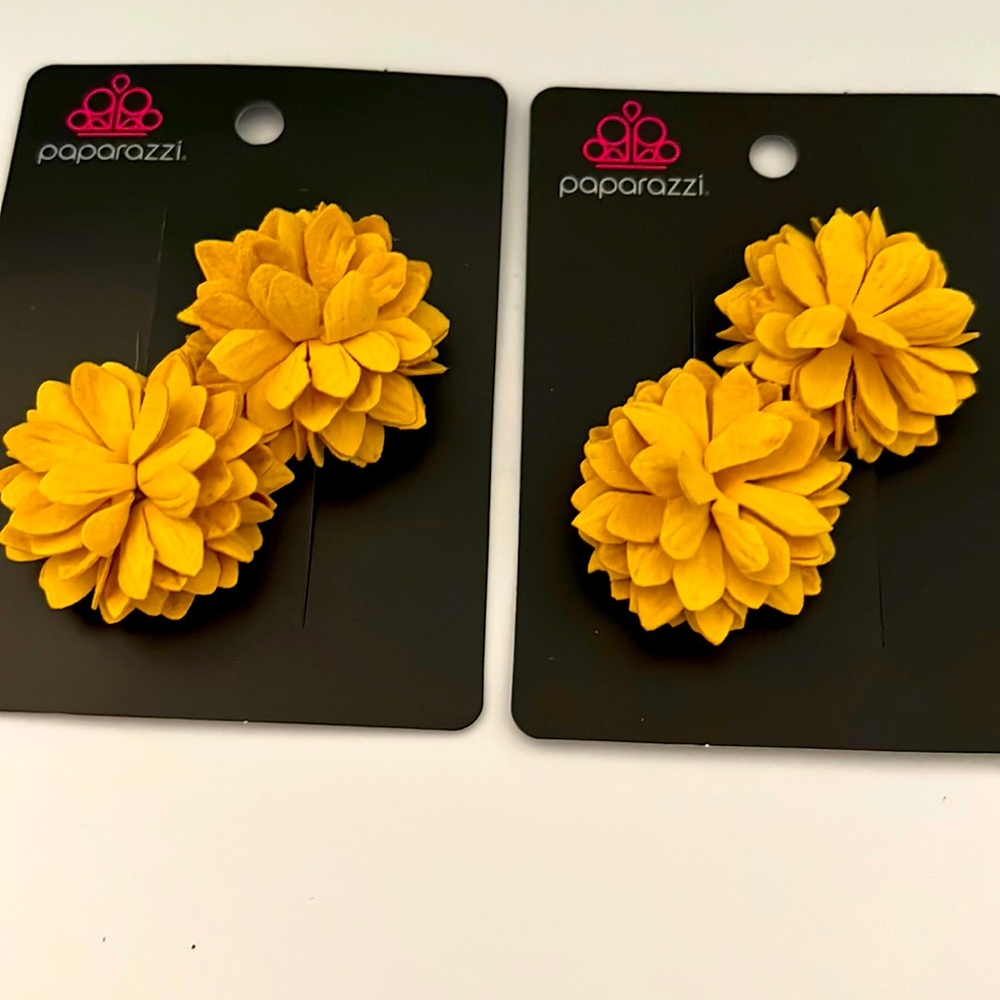 Paparazzi hair clips set of 2